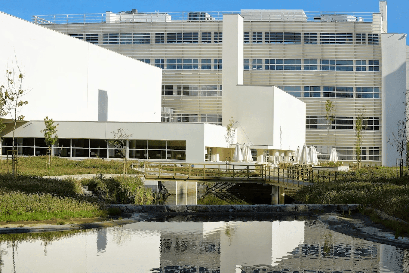 Porto Business School