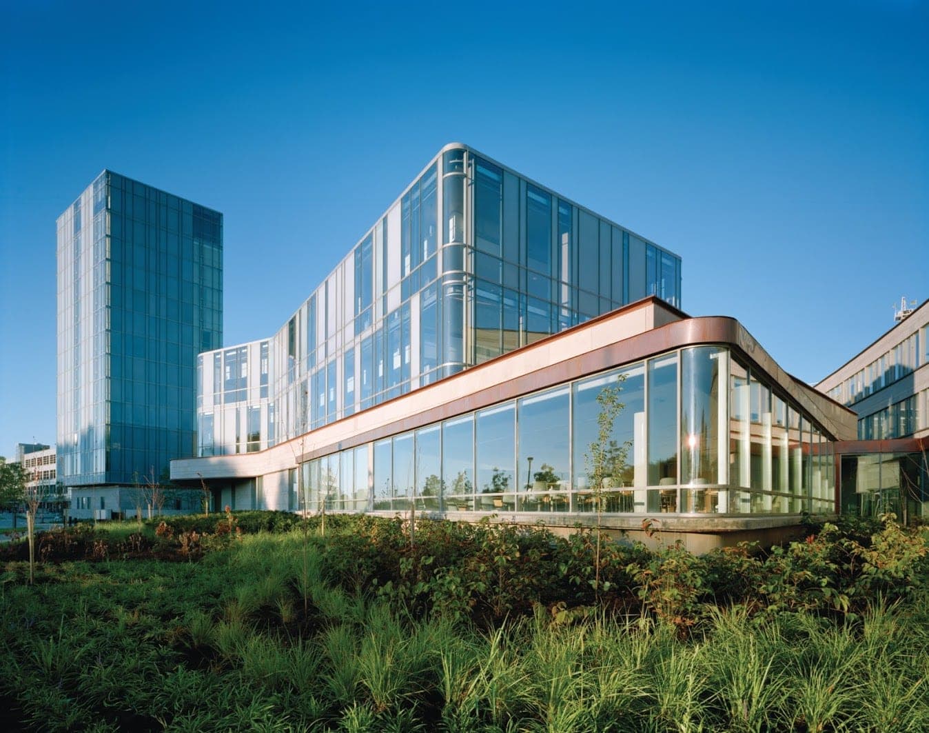 Yale School of Management