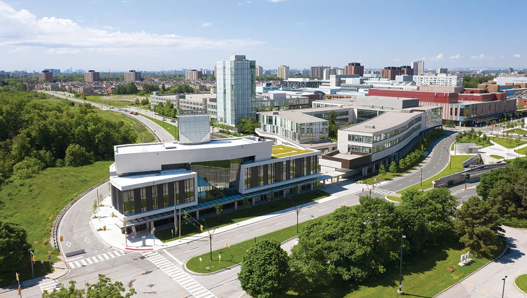 York University